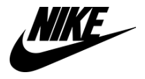 Nike Store logo